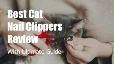 Best Cat Nail Clippers Review