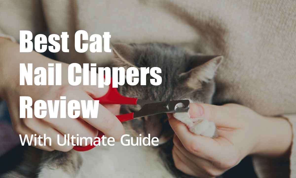 8 Best Cat Nail Clippers: Cut Your Cat’s Nails Stress Free