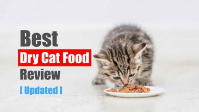 Best Dry Cat Food Review