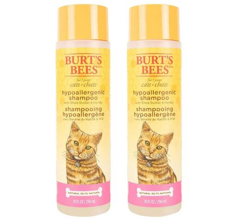 The 5 Best Cat Shampoos for your Cat in 2020 » Best Cat ...