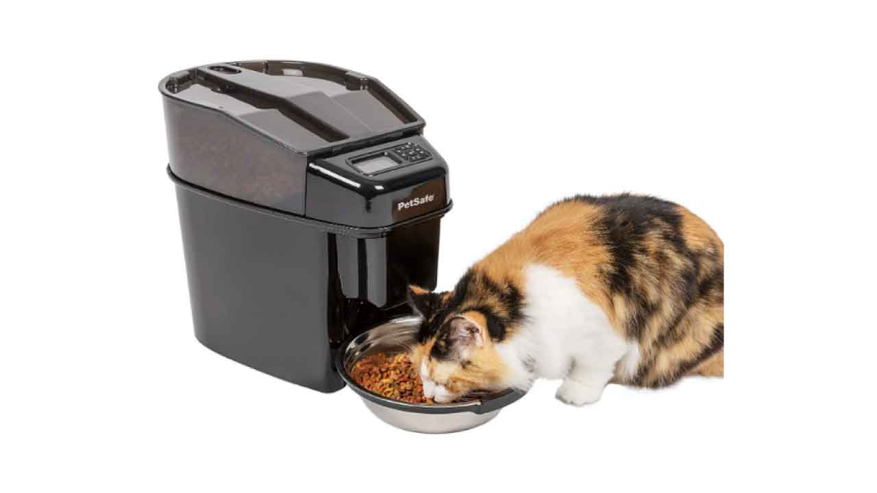 automatic cat feeders