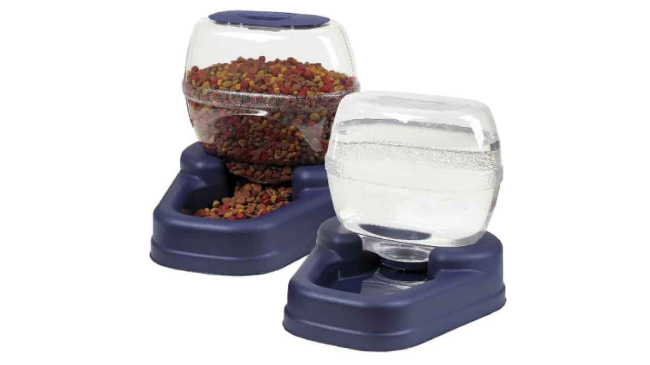 best automatic feeder
