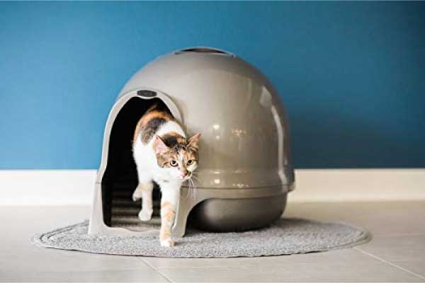 Dog Proof Litter Boxes
