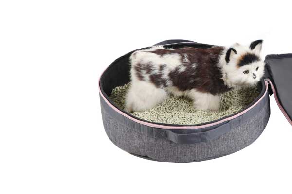 Portable Litter Boxes for Travel