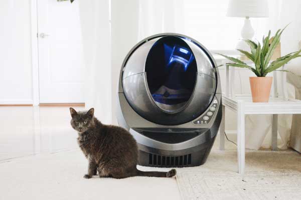 Self-Cleaning Cat Litter Boxes