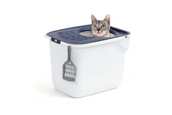 Top-entry Cat Litter Boxes