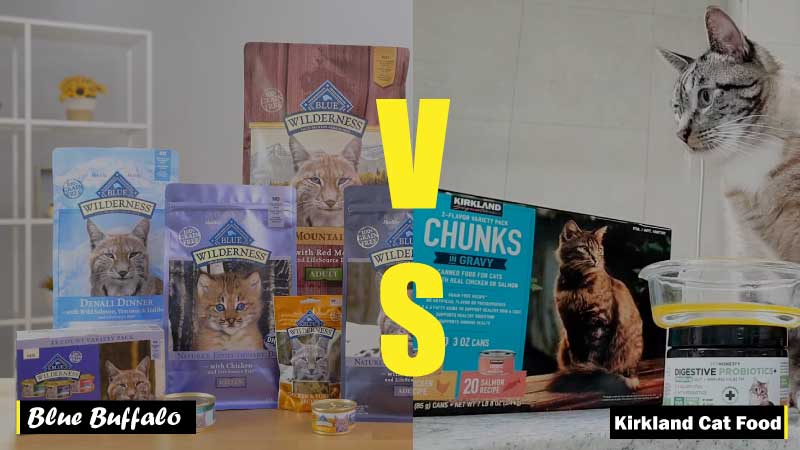 Kirkland Cat Food vs Blue Buffalo Cat Food: You’ll Know in 1 Minute
