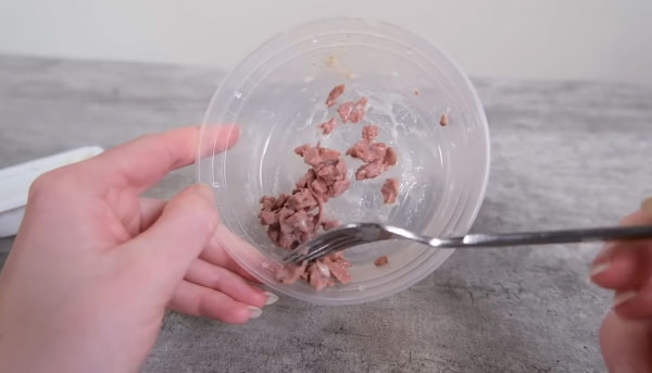 What Happens If a Cat Eats Expired Cat Food