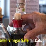Is Balsamic Vinegar Safe for Cats or Toxic?