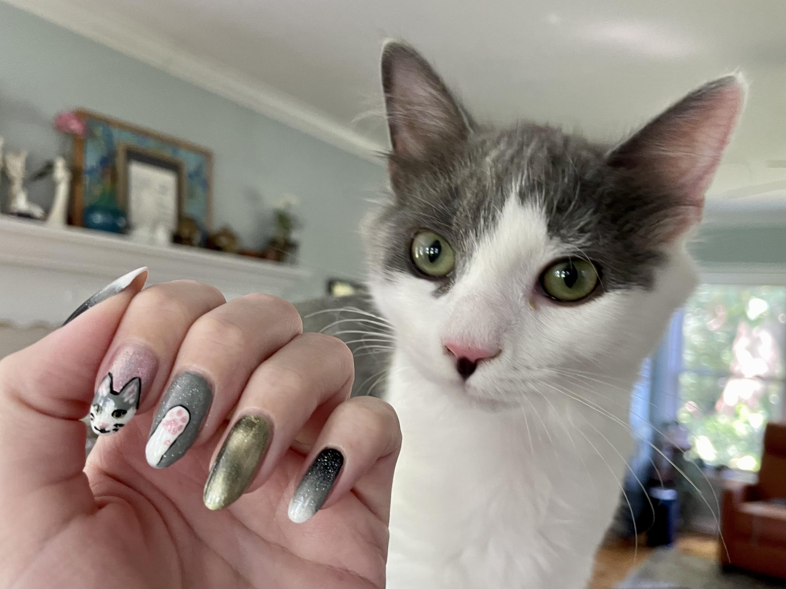 Paint My Cat’s Nails